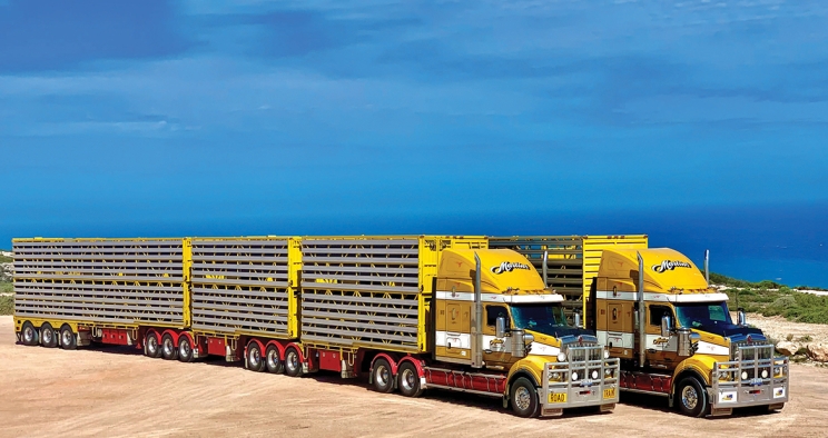 yellow trucks