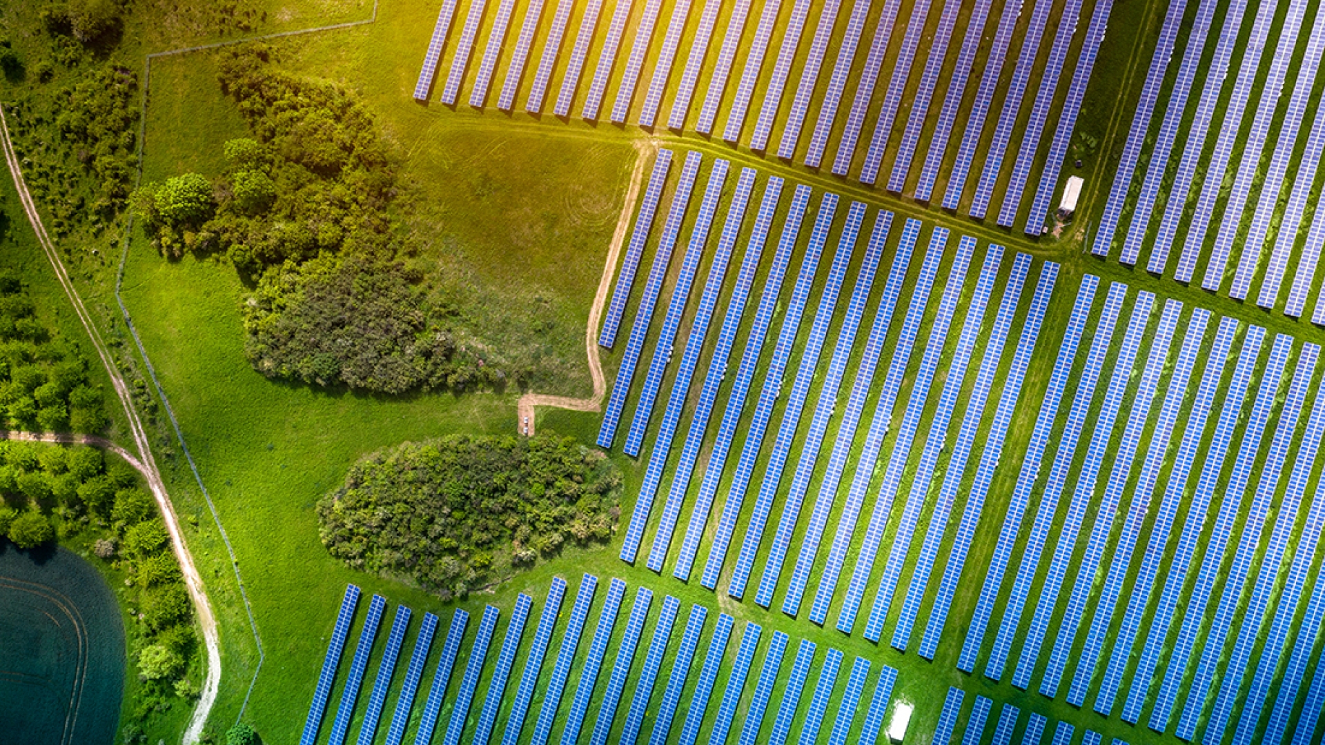 Solarzellen Luftansicht