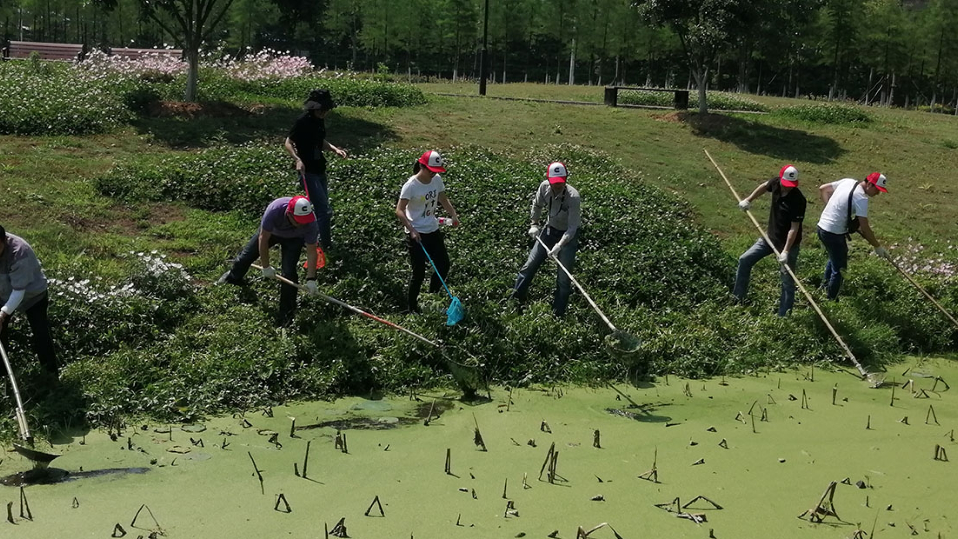 Employees cleaning a river