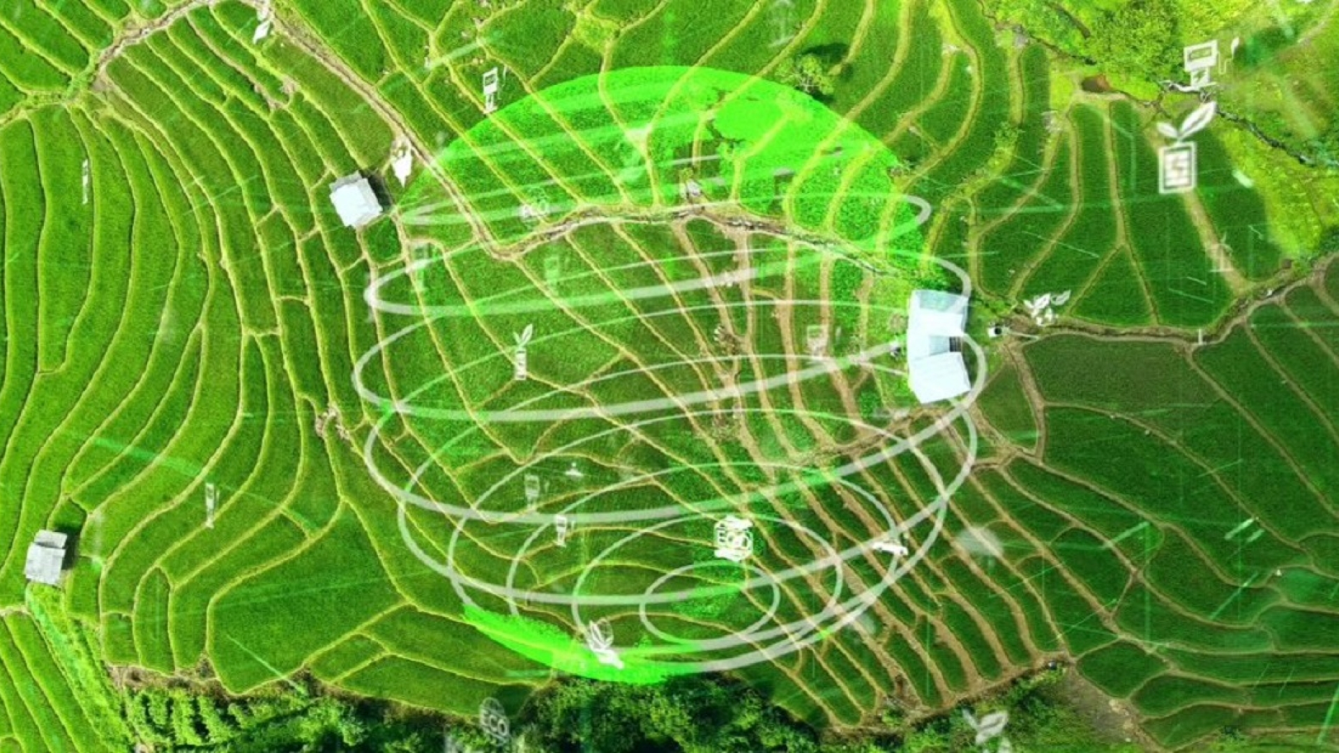 Previous Energy Transition