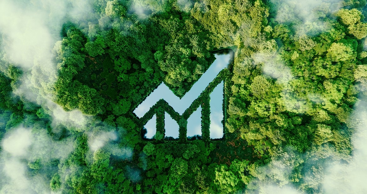 image of graph blending in with forest greenery