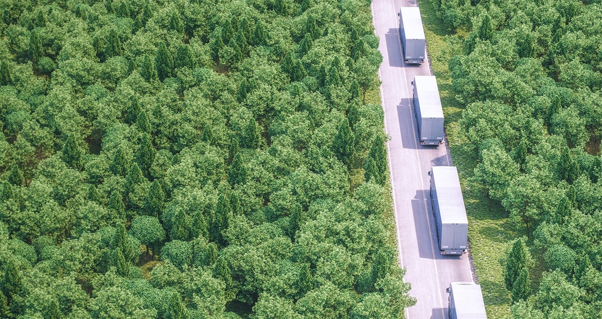 Konvoj nákladních vozidel na dálnici vedoucí přes zelený les.