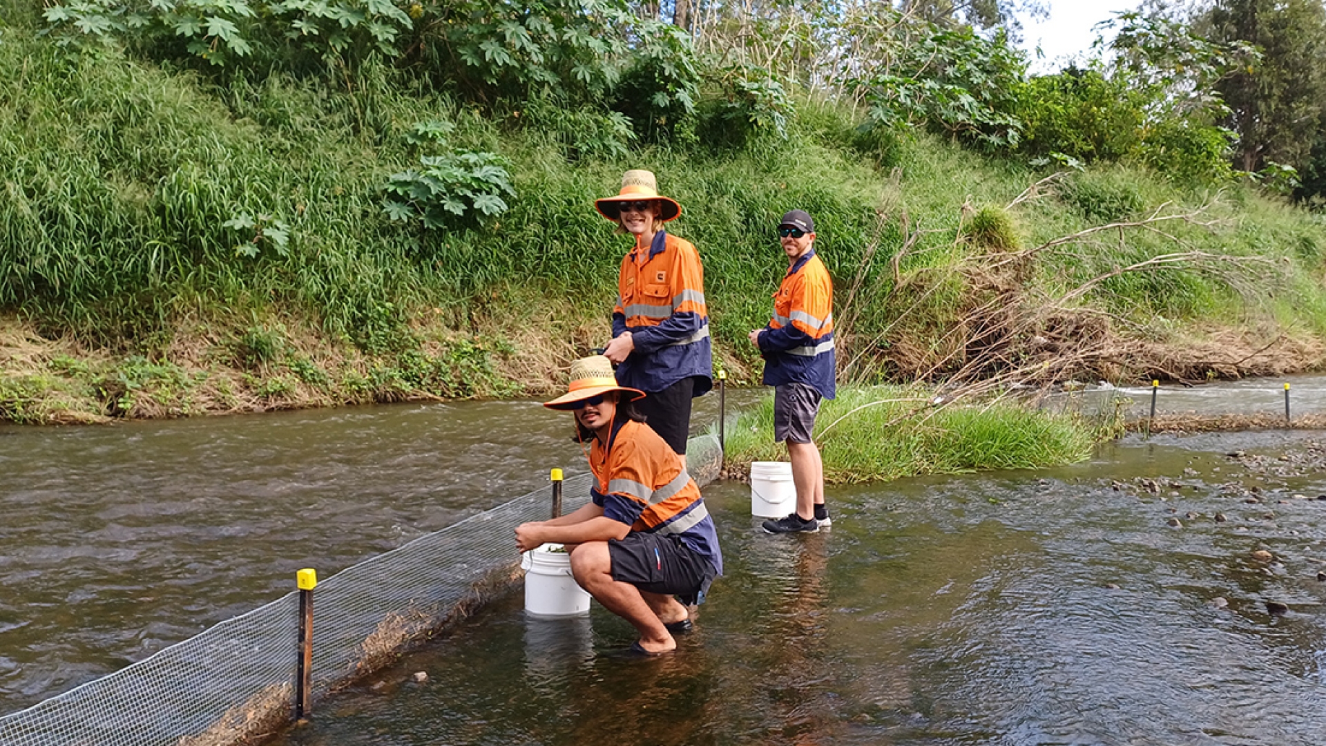 Employees volunteering to clean river
