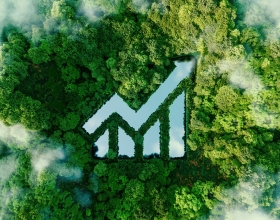 image of graph blending in with forest greenery