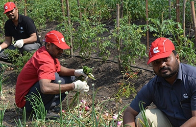 cummins india team members working outdoors